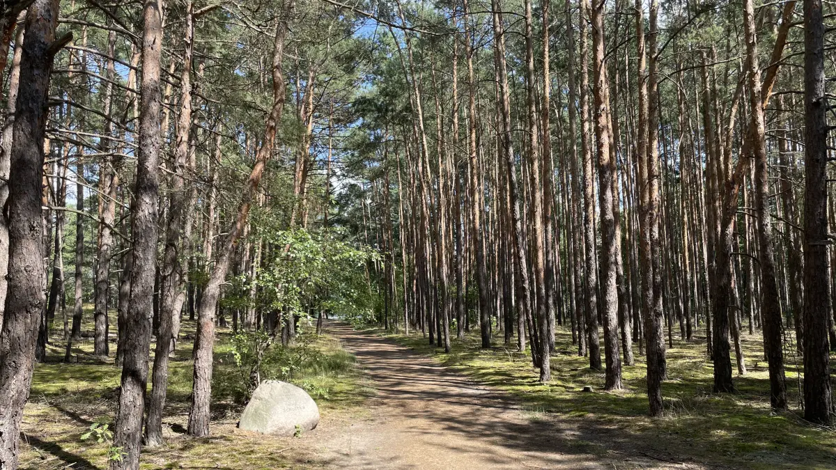 Diese versteckte Badestelle mitten im Wald bei Storkow (Oder-Spree) an der L 42 ist bei Nudisten beliebt.