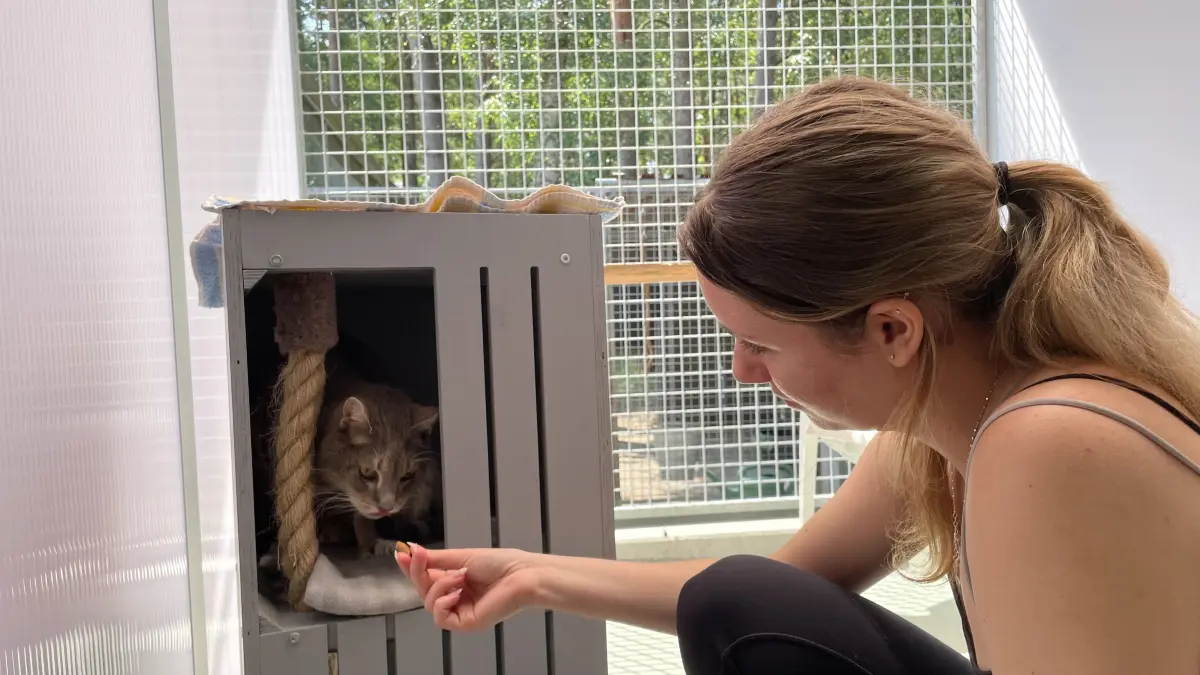Kater Willi trauert im Tierheim Märkisch Buchholz, weil er nicht mehr mit seinem Herrchen zusammensein darf. Die Versuche der angehenden Tierpflegerin Celina Pesel nimmt er zaghaft an, lässt sich zuweilen sogar anfassen und streicheln.