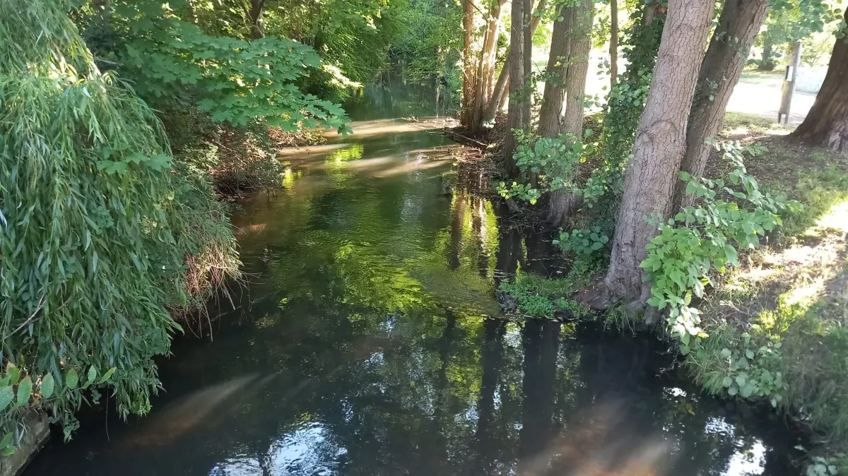 Niedriger Wasserpegel: Auch die Schwärze in Eberswalde führt momentan weniger Wasser als üblich mit sich.