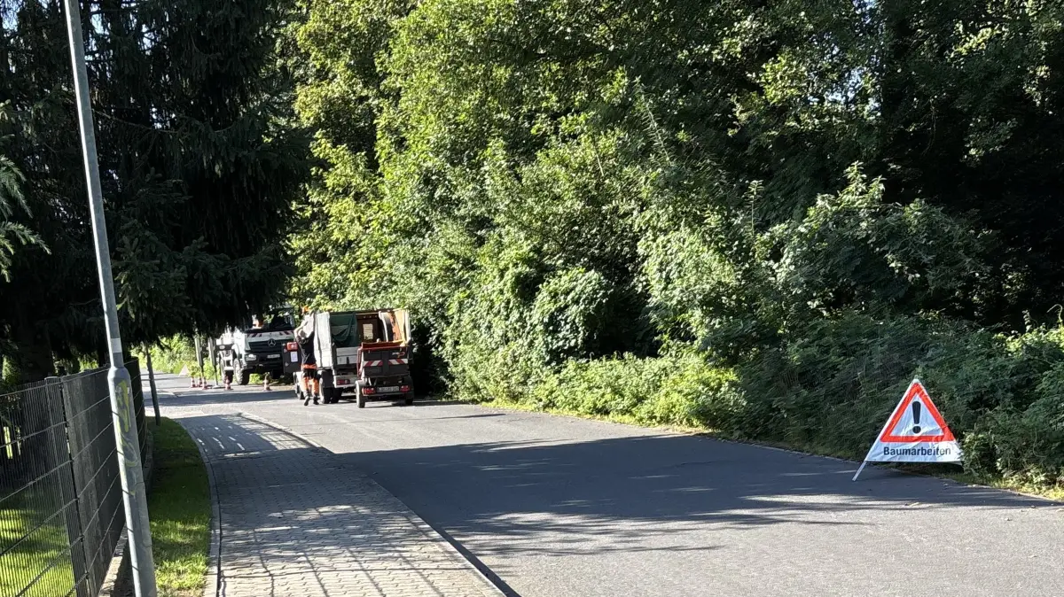 Im Beeskower Wiesenring wurden in den vergangenen Tagen zahlreiche Gehplze verschnitten.