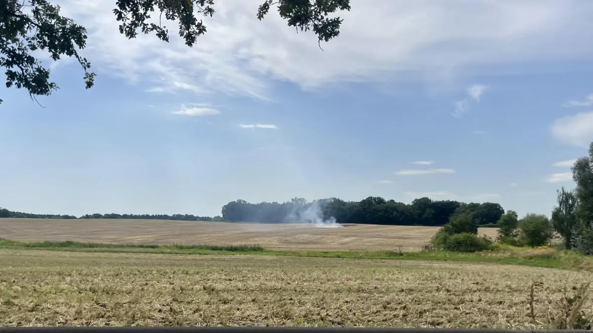 Brand an der Bundesstraße B1 in Hoppegarten: Einsatzkräfte der Freiwilligen Feuerwehren aus Neuenhagen, Hönow, Hoppegarten und Münchehofe rückten an.