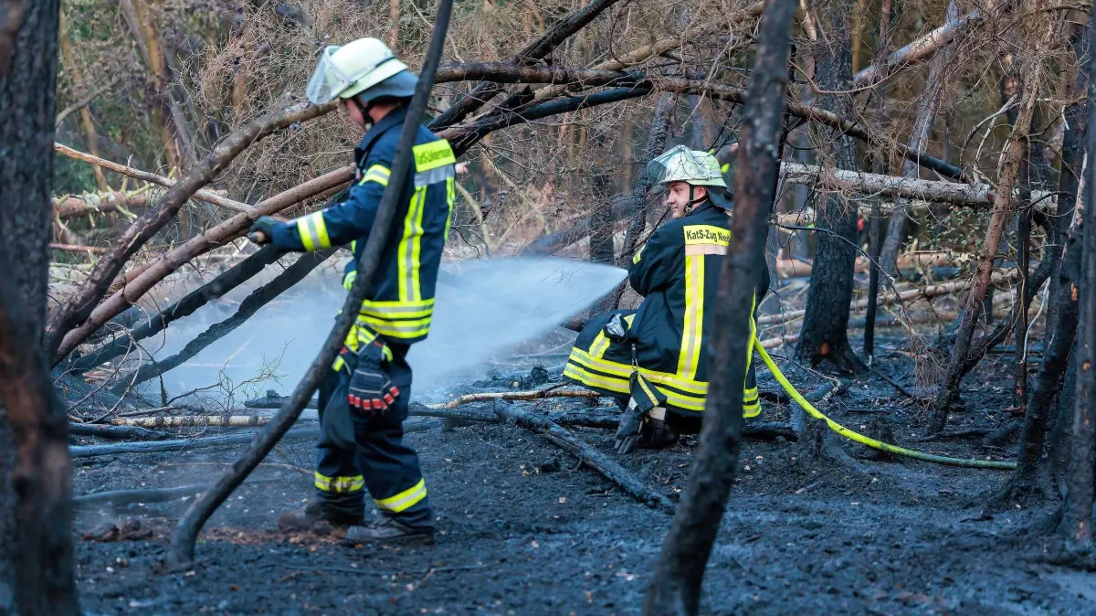 Feuerwehrkräfte sind bei einem Waldbrand bei Bad Schwalbach im Einsatz und versuchen, das Feuer zu löschen. +++ dpa-Bildfunk +++