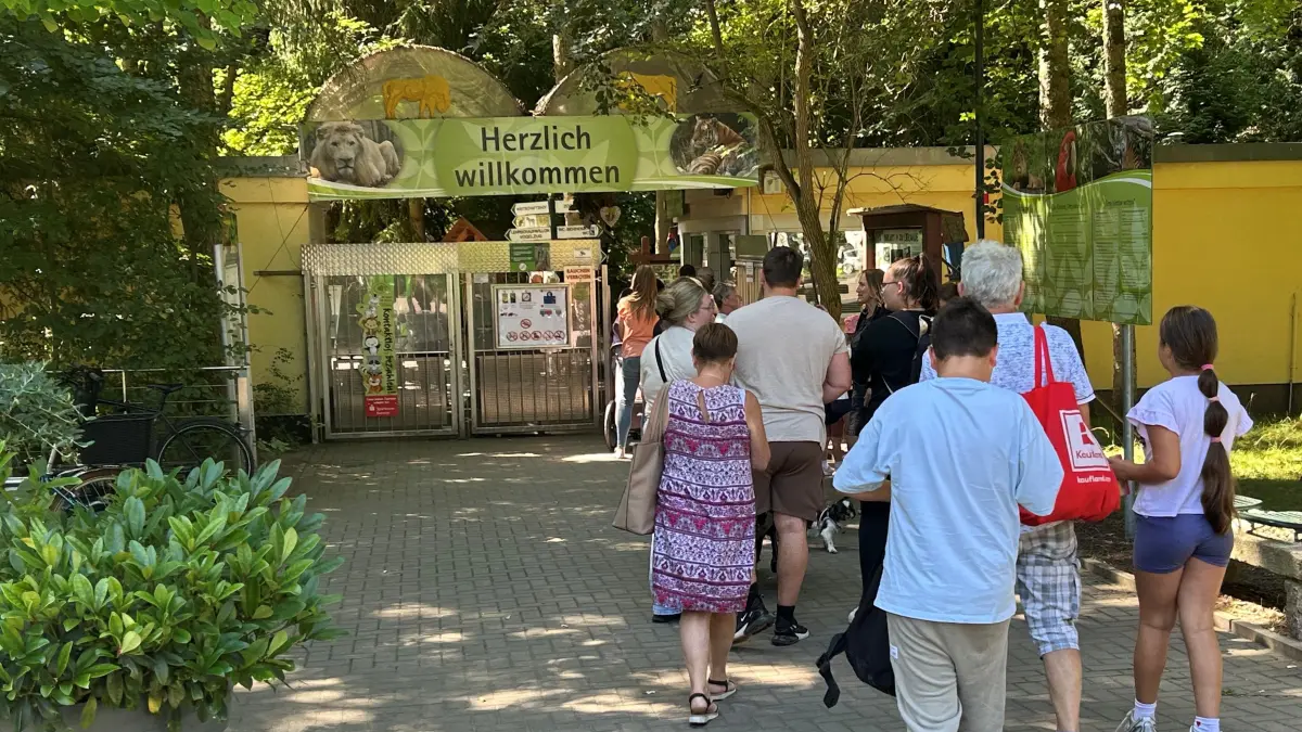Besucherandrang in Eberswalde: Vor dem Kassenhaus des Zoos hat sich eine Warteschlange gebildet. Der Einlass ist ein Nadelöhr. Wie das geändert werden soll.