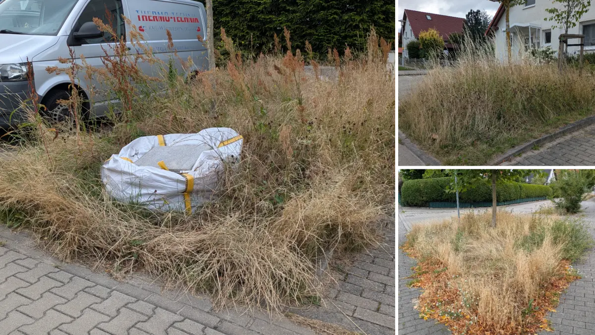 Grünpflege auf dem Pfingstberg in Panketal sorgt bei Anwohnern für Ärger, Juli 2026