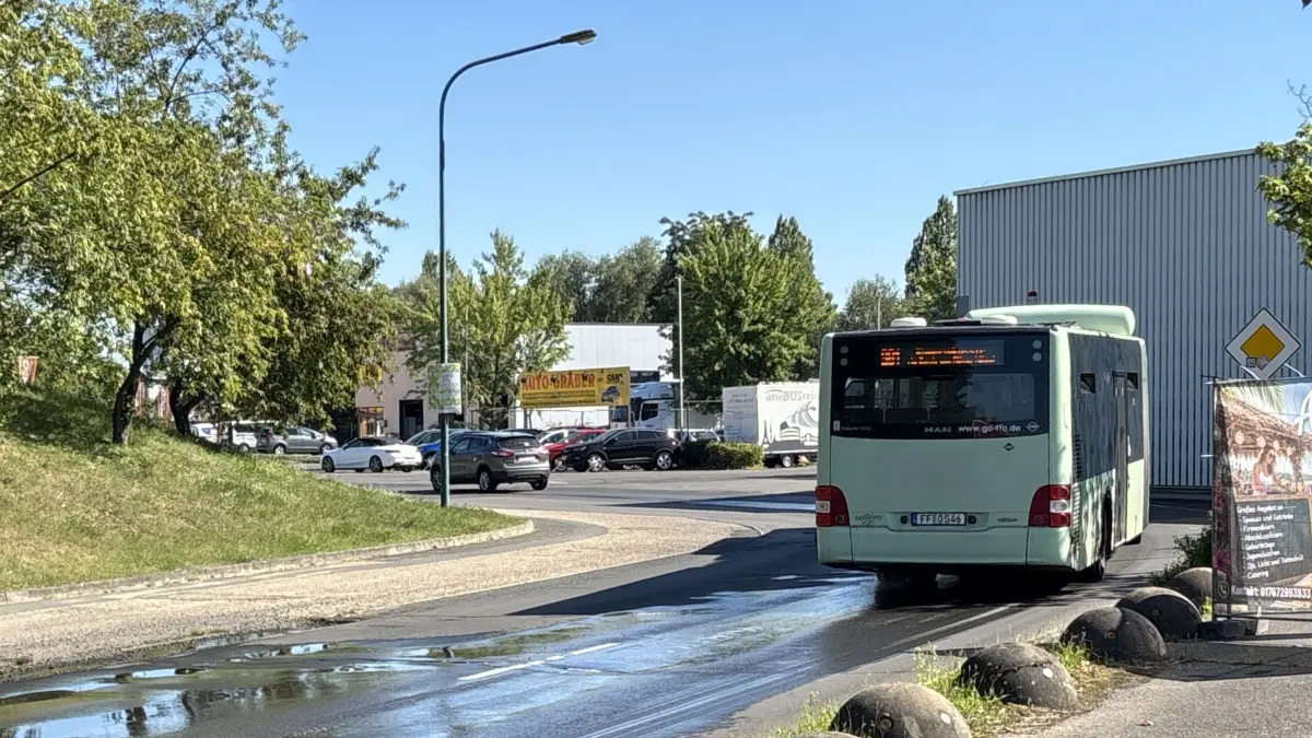 Perleberger Straße, Spitzkrugring in Frankfurt (Oder)