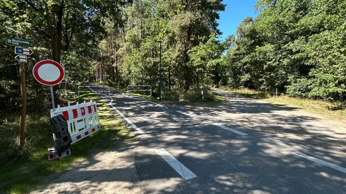 Knotenpunkt im Wald nördlich von Tesla: Hier treffen der neuen Radweg zwischen Gottesbrück und dem Bahnhof Fangschleuse (link) mit dem Oberförstereiweg nach Erkner (rechts) zusammen. (Aufnahme vor der Freigabe)