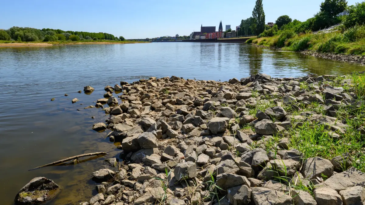 Niedrigwasser am Fluss Oder: 15.08.2026, Brandenburg, Frankfurt (Oder): Das niedrige Wasser hat viele Steine am Ufer des deutsch-polnischen Grenzflusses Oder freigelegt. Die anhaltende Trockenheit hinterlässt an der deutsch-polnischen Grenze deutliche Spuren. In Frankfurt (Oder) ist der Wasserstand des Grenzflusses auf 84 Zentimeter gesunken. Foto: Patrick Pleul/dpa +++ dpa-Bildfunk +++