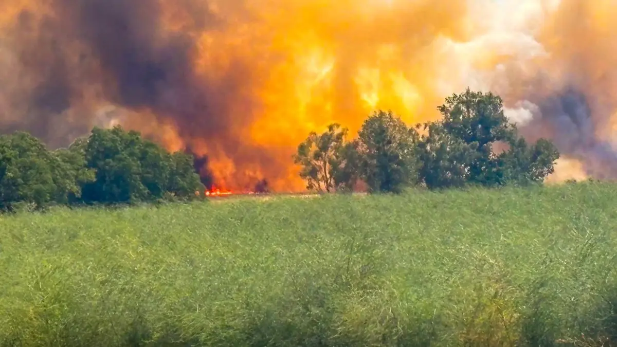 Zu einem Großeinsatz der Feuerwehren kam es am Samstag (15. August) aufgrund eines Flächenbrandes in Gransee. 65 Einsatzkräfte waren vor Ort. Auch Landwirte halfen bei der Brandbekämpfung.