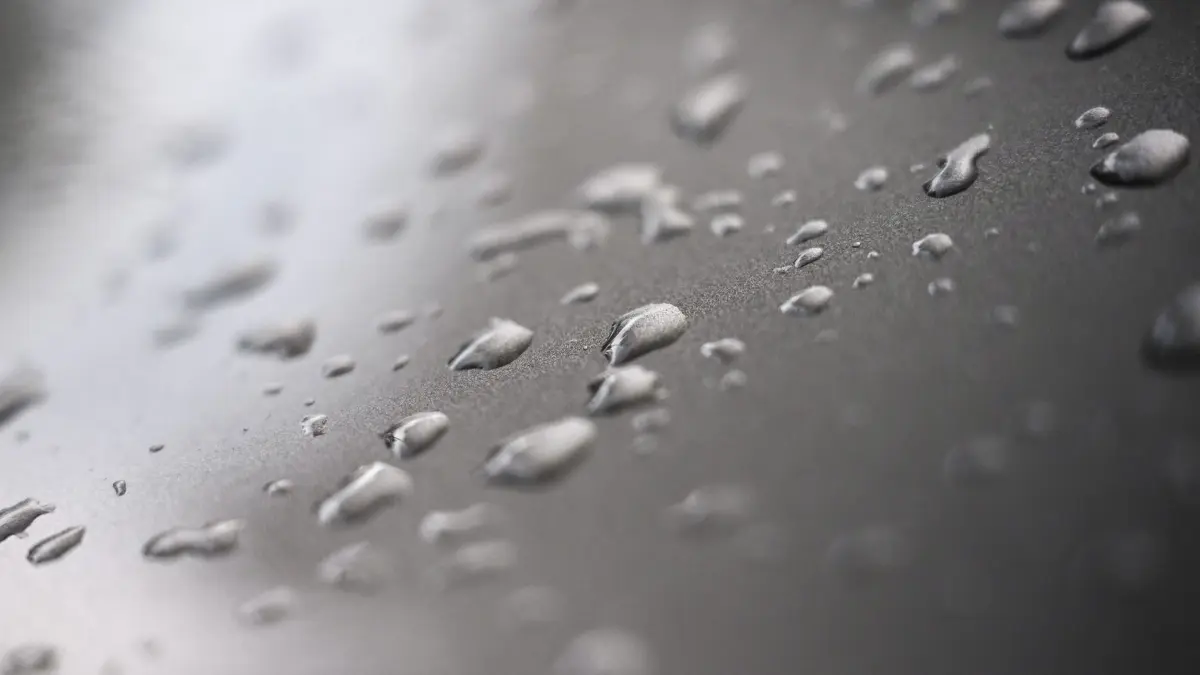 Regen
