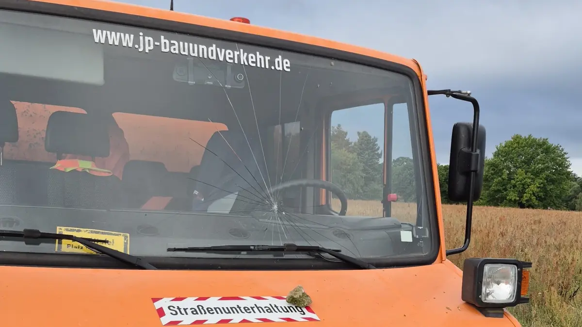 Baumpflege