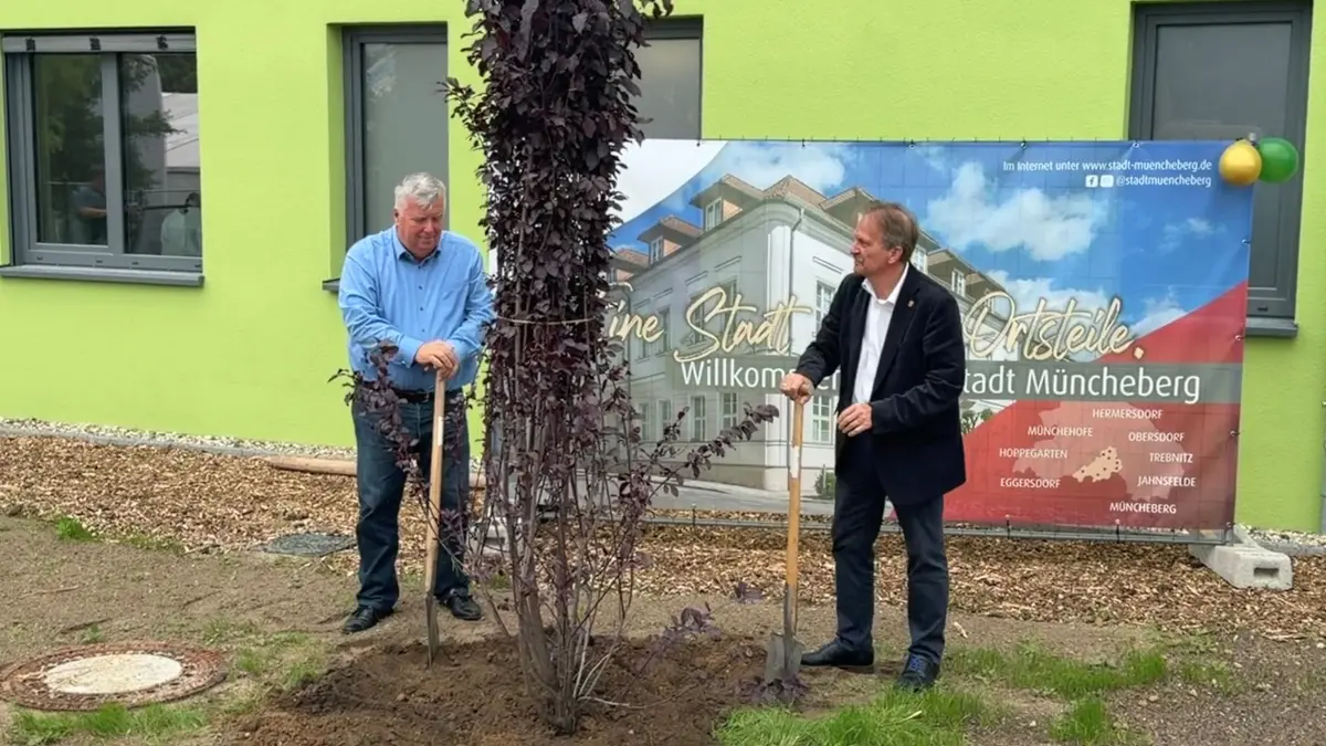 Landrat Gernot Schmidt (SPD, li.) und Münchebergs Bürgermeister Fritz-Georg Streichert (parteilos) pflanzen zur Einweihung des neuen Erweiterungsbaus der Oberschule Müncheberg eine Blutpflaume. Ab Montag wird dann auch in diesem Gebäude unterrichtet.