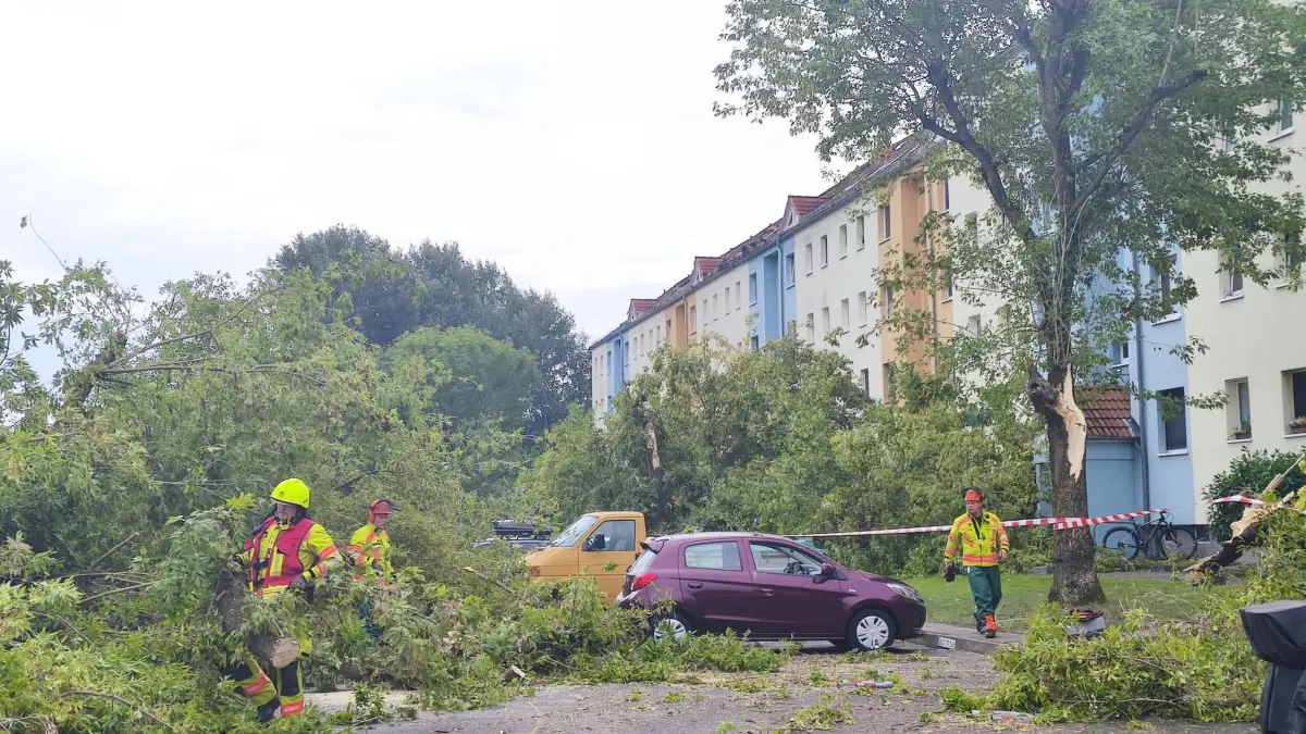 Ein Bild der Verwüstung in Fürstenwalde: Der Paul-Frost-Ring in Süd war besonders stark betroffen.