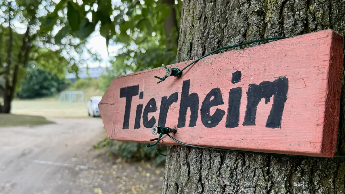 Das Tierheim Schwedt steht vor großen Herausforderungen. Der Zugang ist derzeit erschwert, hinzu kommen alte Gebäude und fehlende Räume.