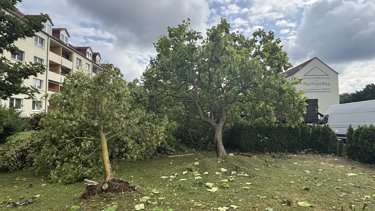 Umgelegte Bäume, beschädigte Wohnblöcke: Im Paul-Frost-Ring in Fürstenwalde sieht man auch am Tag nach dem Tornado noch viele Schäden. Das sagt Immobilienbüro Rothe.
