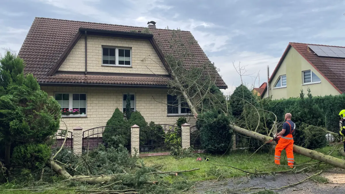In der Grenzstraße in Fürstenwalde wurden durch den Tornado mehrere Bäume entwurzelt. Schäden an ihren Häusern sollten Versicherte schnell bei ihrer Versicherung anzeigen.