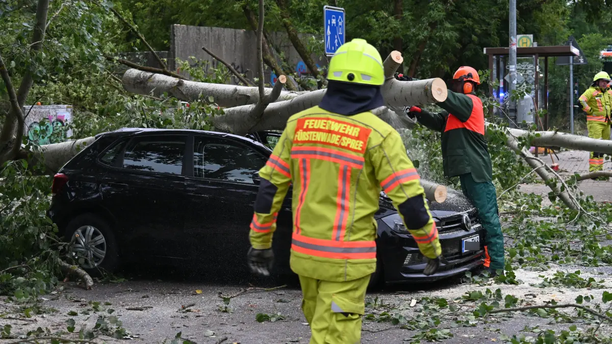 Baum auf Auto am Paul-Frost-Ring: Der Mini-Tornado in Fürstenwalde hat zahlreiche Schäden verursacht. Eine erste Bilanz
