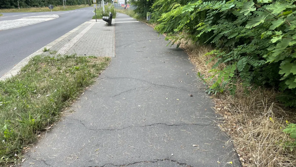 Zwischen Wernsdorf und Niederlehme haben Baumwurzeln teilweise den Belag des Weges aufgebrochen.