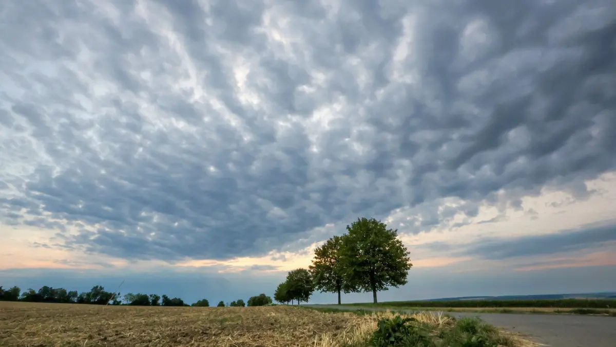 Wetter in Baden-Württemberg: ARCHIV - 16.08.2026, Baden-Württemberg, Uttenweiler: Regenwolken ziehen am Morgen auf. (zu dpa: «Endlich Regen - wer profitiert und wofür ist es zu spät?») Foto: Thomas Warnack/dpa +++ dpa-Bildfunk +++