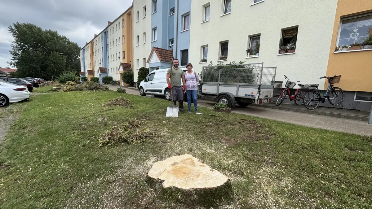 Nach dem Tornado im Paul-Frost-Ring in Fürstenwalde: Philipp Schreppel, Grünanlagenpfleger bei Immobilienbüro Rothe, beseitigt Zweige und Äste, die Anwohnerin Ursula Küster schon zusammengeharkt hat. Nur noch Stümpfe erinnern an die vielen Pappeln und Birken direkt vor den Hauseingängen, die wie Legesteine umgefallen waren. Zerlegt hat die Bäume zuvor schon die Firma Baum-Schmid im Auftrag der Hausverwaltung.