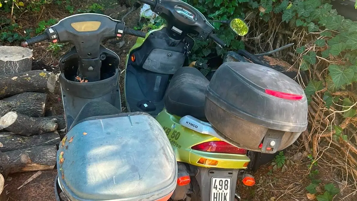 Plastikroller schubsen ist ein Wettbewerb am 29. August. Fünf Meter sind dabei machbar.