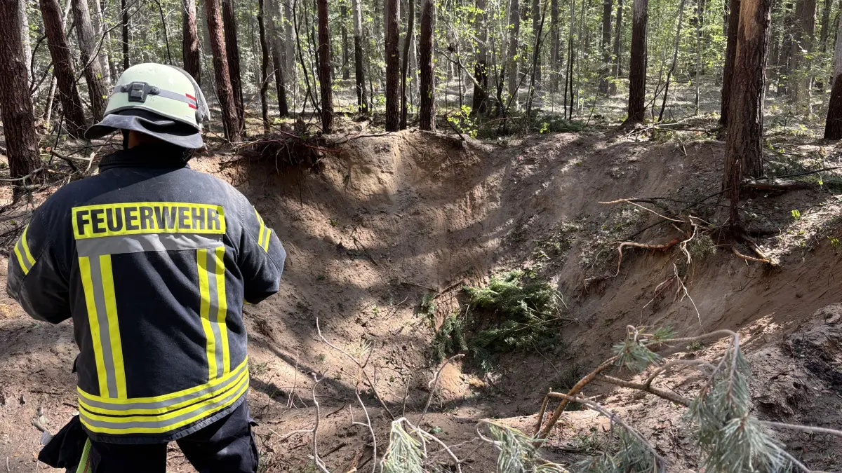 Tiefe Krater im Wald: Gut fünf Meter tiefe Krater entstanden nach den Sprengungen im Borgsdorfer Wald. Die sechs Sprenggruben werden nun wieder verfüllt. Über den Wald legte sich nach der Sprengung eine dicke Staubwolke.
