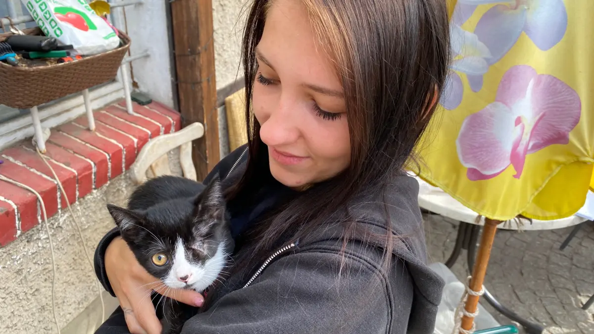 Hat ihr linkes Auge durch eine Entzündung verloren: die jetzt zwölf Wochen alte Katze Tina. Tierheimmitarbeiterin Sandra Hartwig hat sie gerade in den Arm genommen.