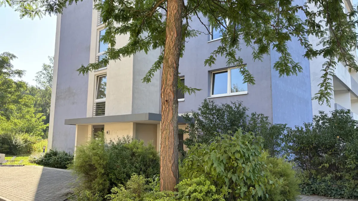 In Eisenhüttenstadt öffnet eine neue Hausarzutpraxis. das ist bisher bekannt.