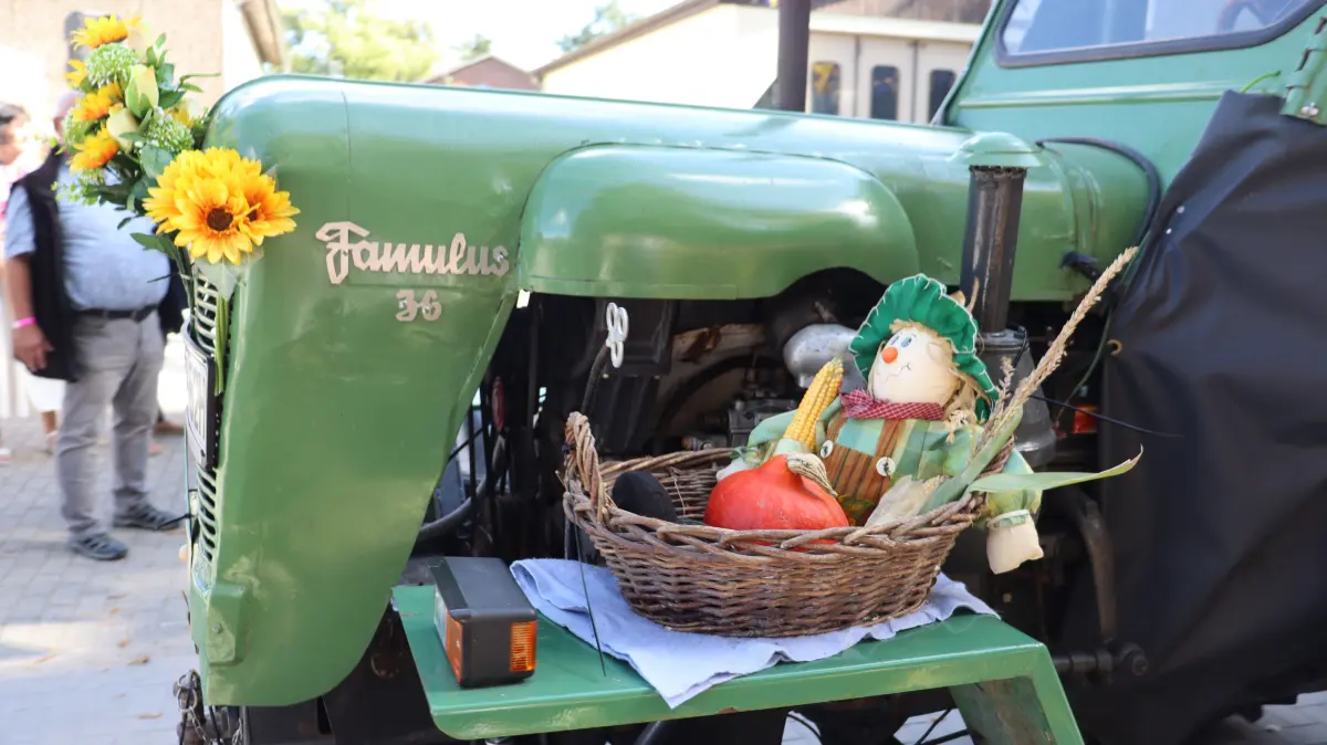 Mit viel Liebe zum Detail, hier am alten Famulus 36 aus Frankenfelde, wurden die Trecker geschmückt.