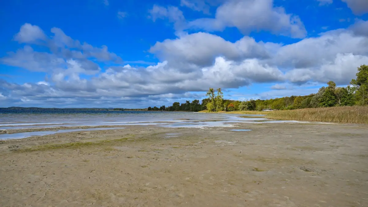 Wasserverlust am Parsteiner See: ARCHIV - 16.10.2023, Brandenburg, Parstein: Der Wasserpegel im Parsteiner See ist deutlich gesunken. Der Parsteiner See (umgangssprachlich meist Parsteinsee) ist mit 1003 Hektar Fläche der drittgrößte natürliche See in Brandenburg. (zu dpa: «150 Meter bis zum Wasser: Parsteiner See zeigt Wasserkrise») Foto: Patrick Pleul/dpa +++ dpa-Bildfunk +++