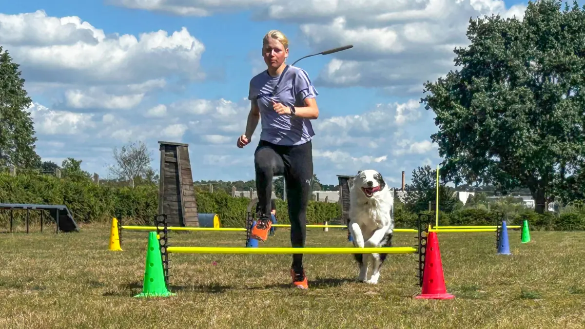 Teamarbeit auf dem Hundeplatz: Sarah Pohling trainiert mit Australian Shepherd Tucker für die Deutsche Meisterschaft im Turnierhundsport in Schwedt.