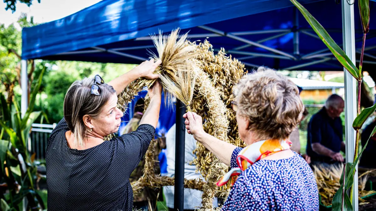 Erntekrone: Mitglieder des Altranfter Traditionsvereins beim Erntekronenbinden