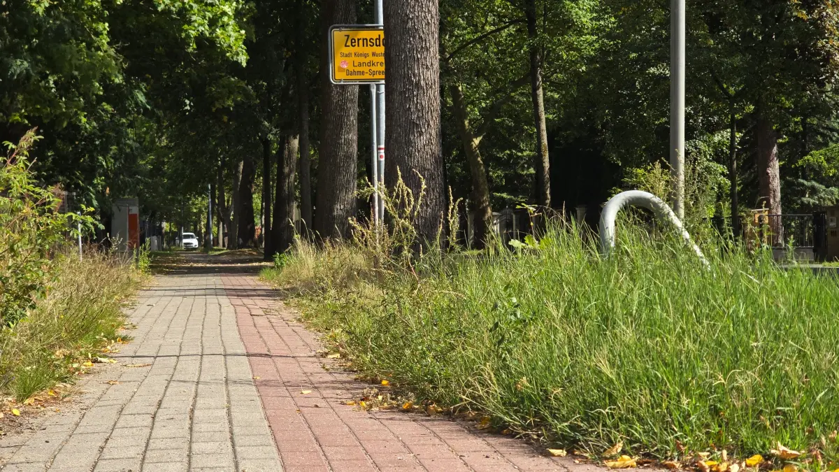 Der Fahrradweg von Königs Wusterhausen über über Neue Mühle und Zernsdorf nach Kablow