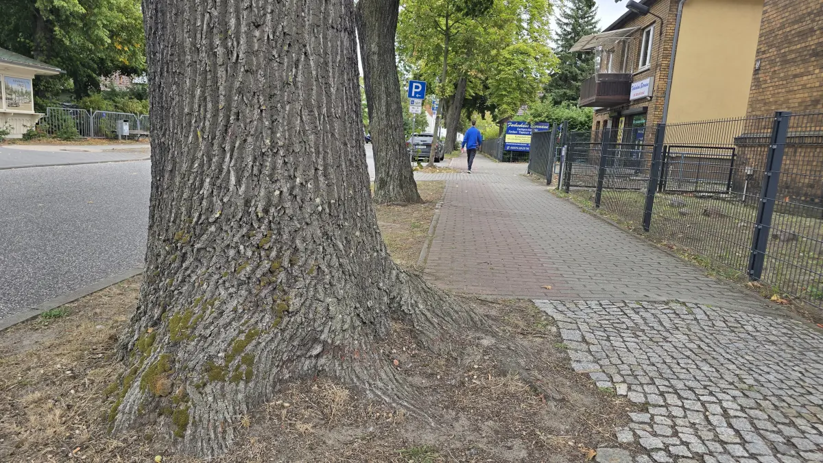 Der Fahrradweg von Königs Wusterhausen über über Neue Mühle und Zernsdorf nach Kablow