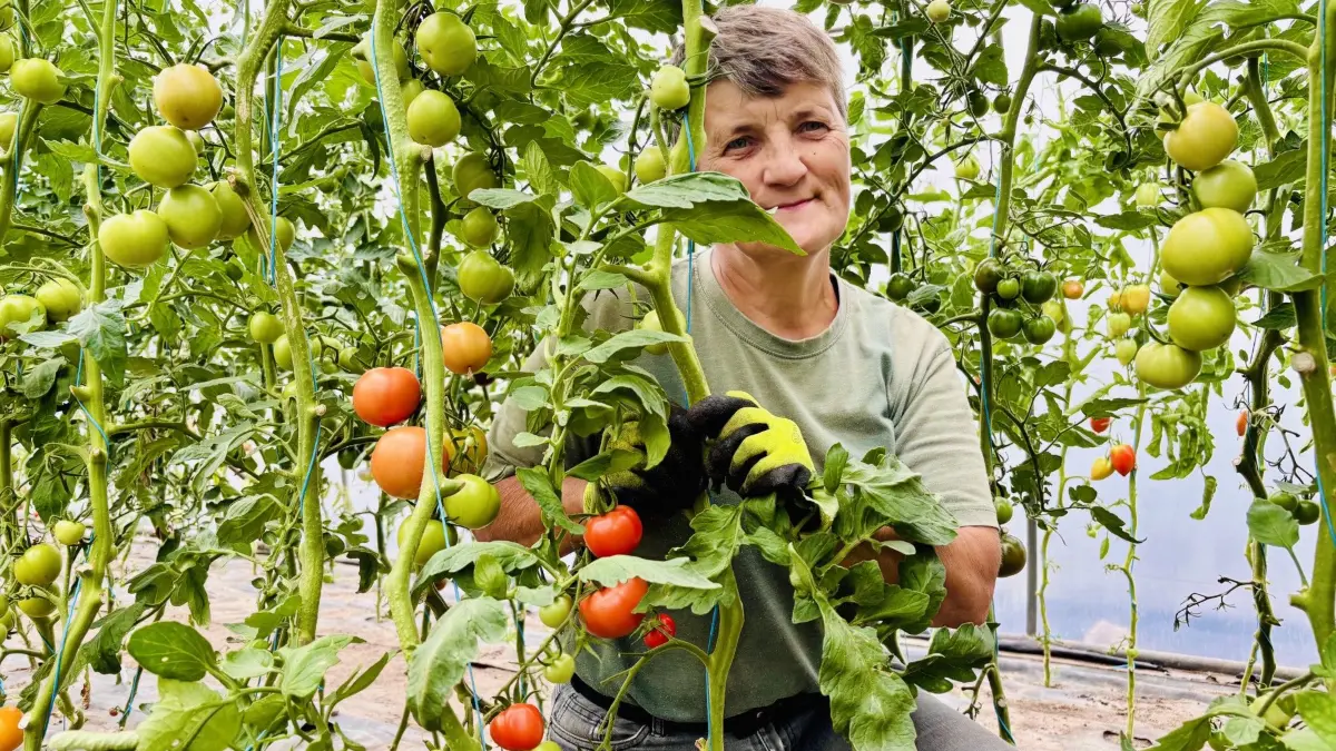 Bettina Wagner von der Gärtnerei Neuendorf im Sande setzt bei Tomaten auf Sortenvielfalt.