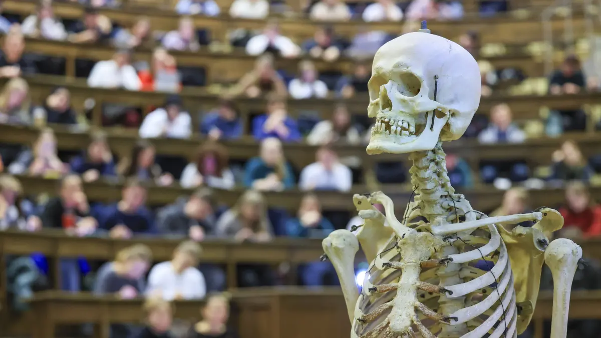 Medizinstudenten in einem Hörsaal. Mittlerweile gibt es auch in Brandenburg eine staatlich getragene medizinische Hochschule. Wo überall in Brandenburg Nachwuchs für den Ärztemangel entsteht. (Symbolbild)