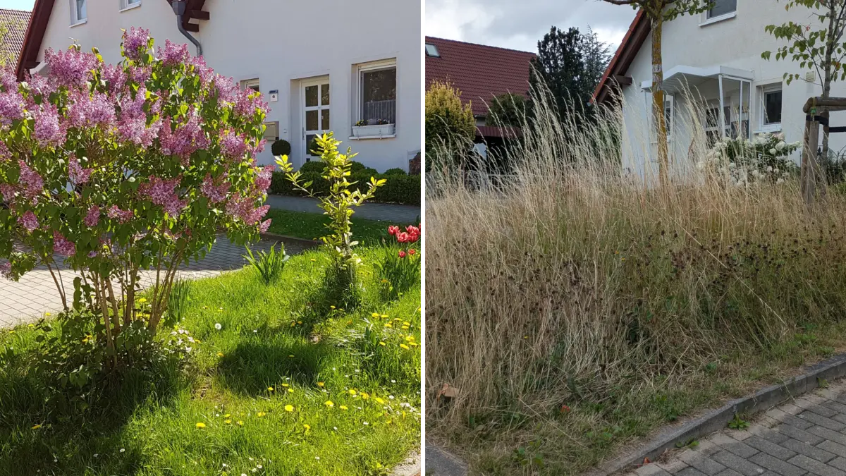 Grünstreifen in Zepernick 2018 (links) und 2026.