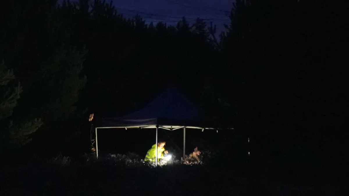 Im Lohsaer Ortsteil Lippen (Landkreis Bautzen) ist es am späten Freitagabend (4. September 2026) zu einem Einsatz der Polizei an Freileitungen gekommen. Ermittler fanden in dem Bereich acht selbst hergestellte Sprengvorrichtungen. Weitere vier Sprengvorrichtungen wurden in der Nähe von Schleife gefunden.