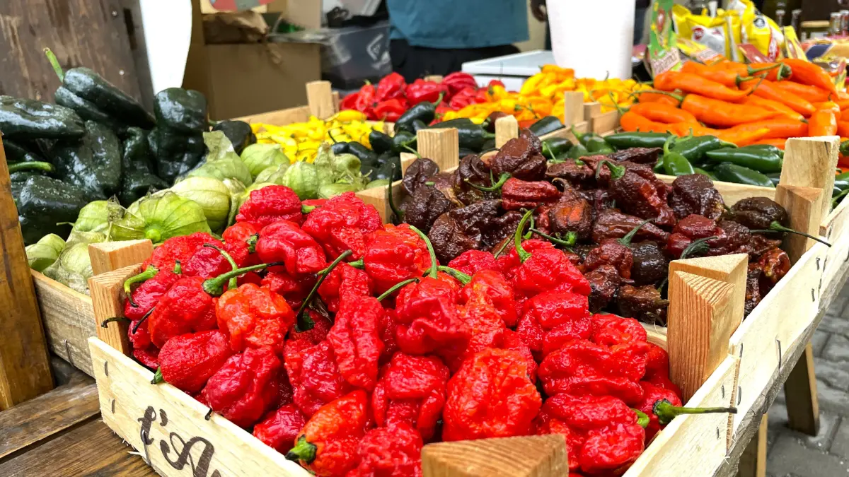 Eine Auswahl verschiedener Chili-Sorten am Stand von "La Tiendita" auf dem Chili-Fest in Berlin am 4.9.2026