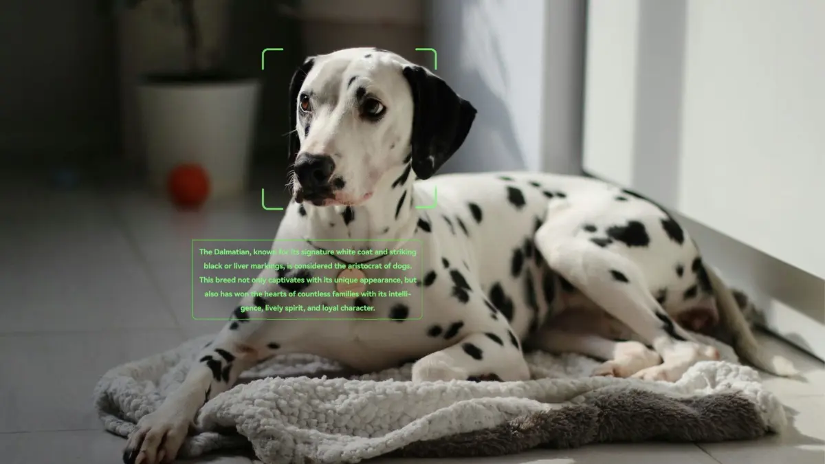 Rokid Smart Glasses. KI analysiert und erzählt, was sich im Sichtfeld befindet.