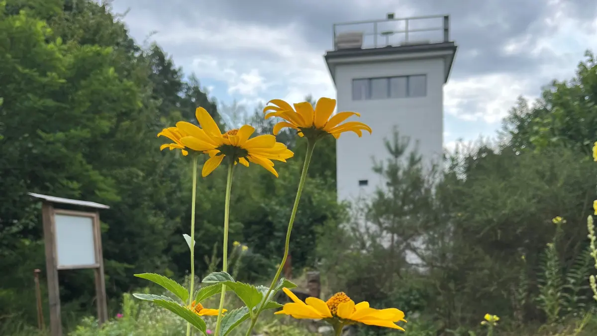Die SDW hat am Grenzturm in Bergfelde ein kleines Naturparadies geschaffen.