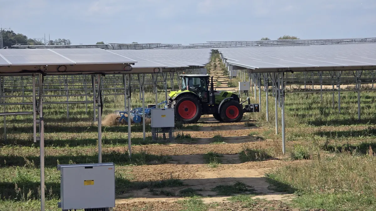Sven Geelhaar vom Landgut Geelhaar in Chorin bei Eberswalde wird die größte Agri-PV-Anlage in Deutschland in Schönefeld direkt am Flughafen BER bewirtschaften.