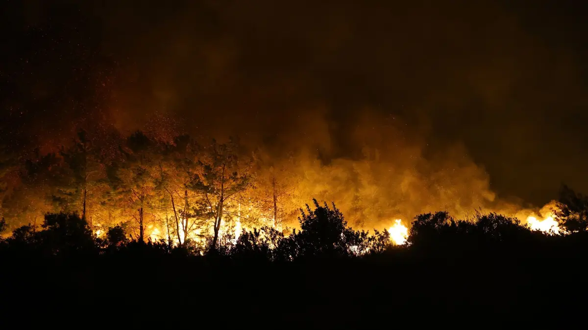 Waldbrand in der Türkei: HANDOUT - 07.09.2026, Türkei, Antalya: Auf diesem von der Stadtverwaltung von Antalya veröffentlichten Foto lodern Flammen eines Waldbrands in einem Wald in der Nähe von Antalya. Foto: -/Antalya Metropolitan Municipality via AP/dpa - ACHTUNG: Nur zur redaktionellen Verwendung bis zum 22. September 2026 im Zusammenhang mit der aktuellen Berichterstattung und nur mit vollständiger Nennung des vorstehenden Credits +++ dpa-Bildfunk +++