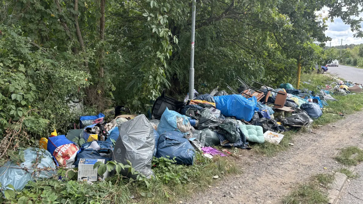 Es sieht nicht nur schlimm aus, sondern stinkt auch: Illegale Müllkippen sorgen in Eisenhüttenstadt für Kosten, die die Allgemeinheit zu tragen hat. Besonders an einer Stelle lassen sich die Müllferkel immer wieder aus.