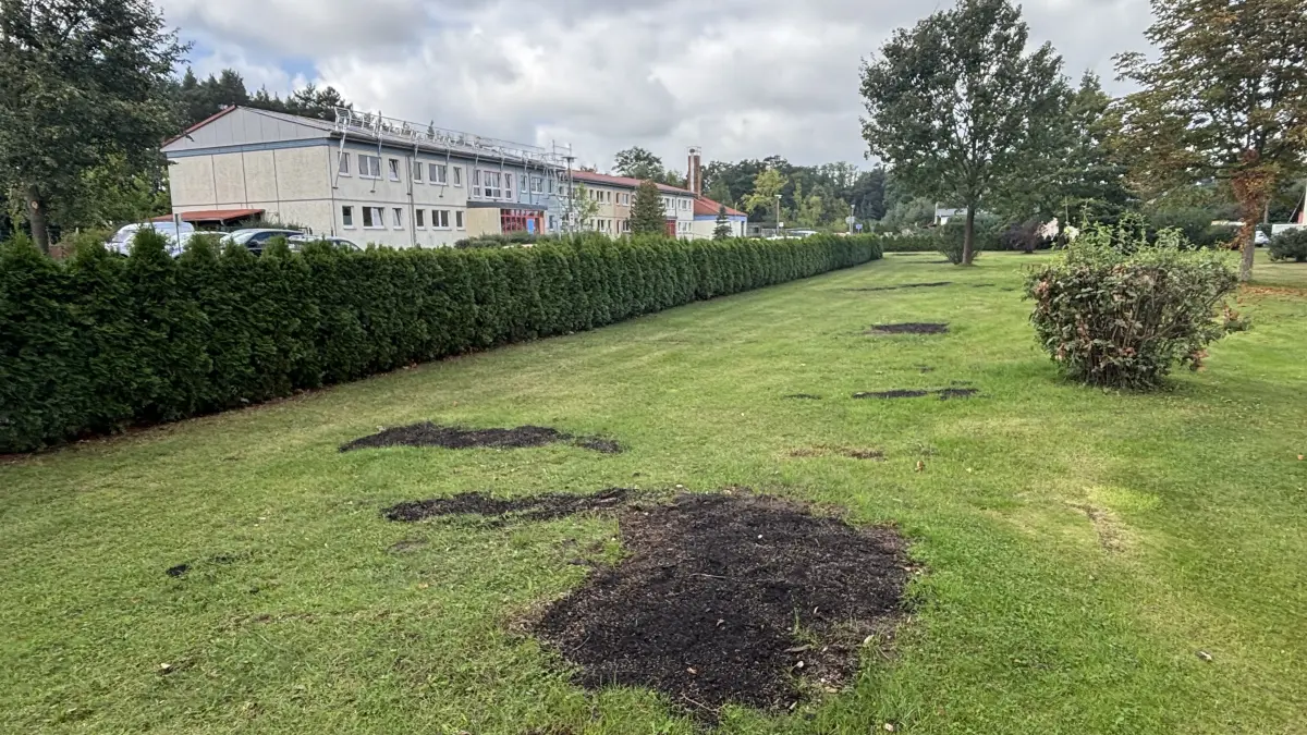 Während vor den Wohnblöcken im Paul-Frost-Ring im Süden von Fürstenwalde die umgestürzten Bäume vier Wochen nach dem Tornado schon beseitigt sind, steht die Kita Regenbogen noch immer eingerüstet und ohne Dach da. Was die Reparatur des Gebäudes kosten wird und wo weiterer Handlungsbedarf besteht, verrät nun die Stadtverwaltung.