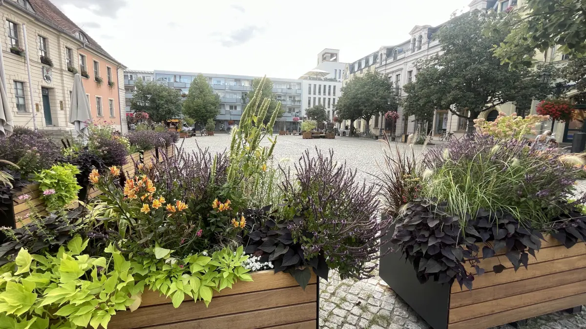 Ein beschlossenes Konzept soll nun für mehr Leben auf dem meist leeren Marktplatz sorgen.