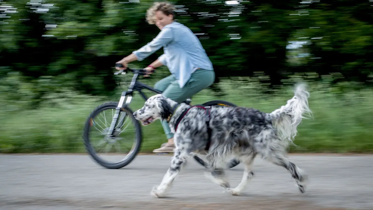 Eine Frau fährt Fahrrad mit einem Hund