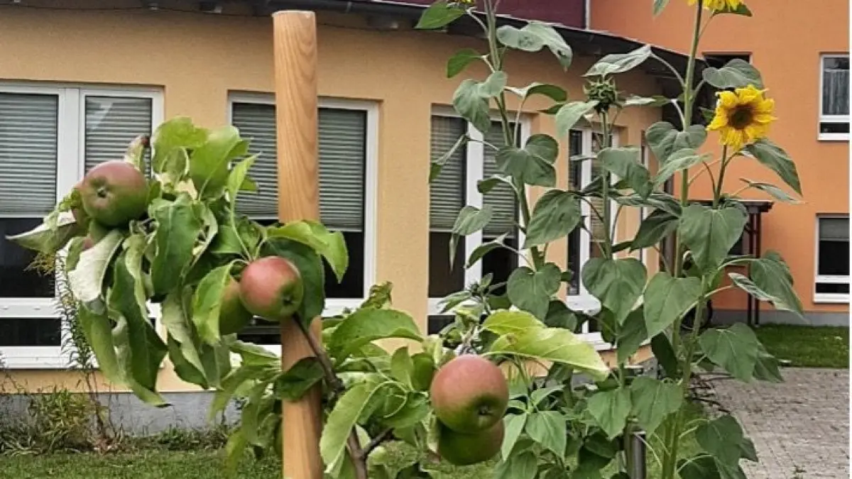 Eine frühherbstliche Impression im Garten der Residenz.