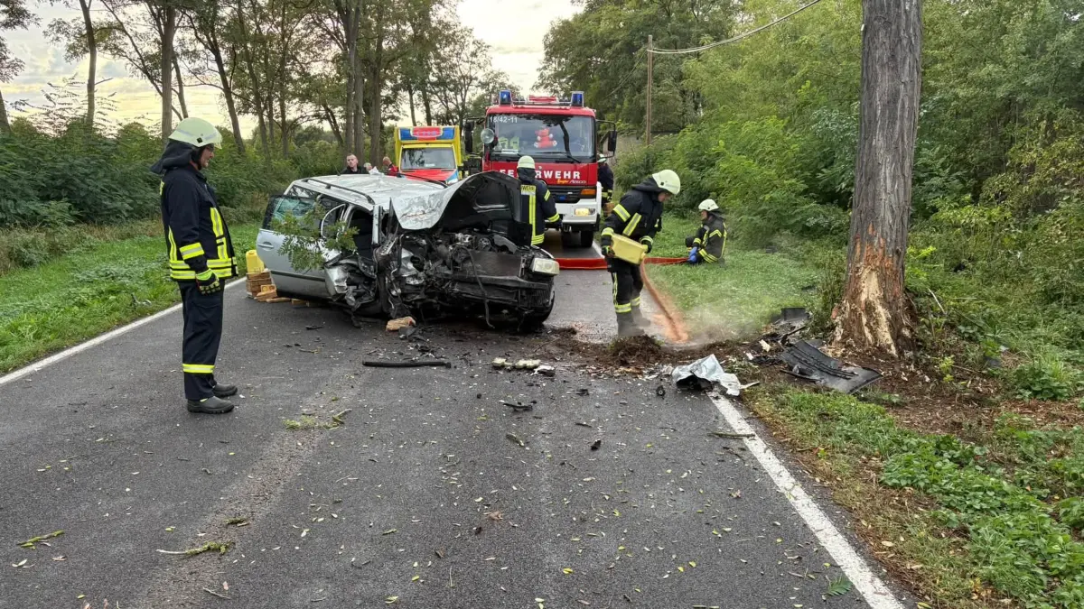 Unfall auf der L34 bei Neuhardenberg: Kurz hinter dem Ortsausgang Gottesgabe stieß ein VW Passat mit einem Baum zusammen. Köroerlich kam der 17-jährige Fahrer glimpflich davon, musste danach der Polizei aber einiges erklären.