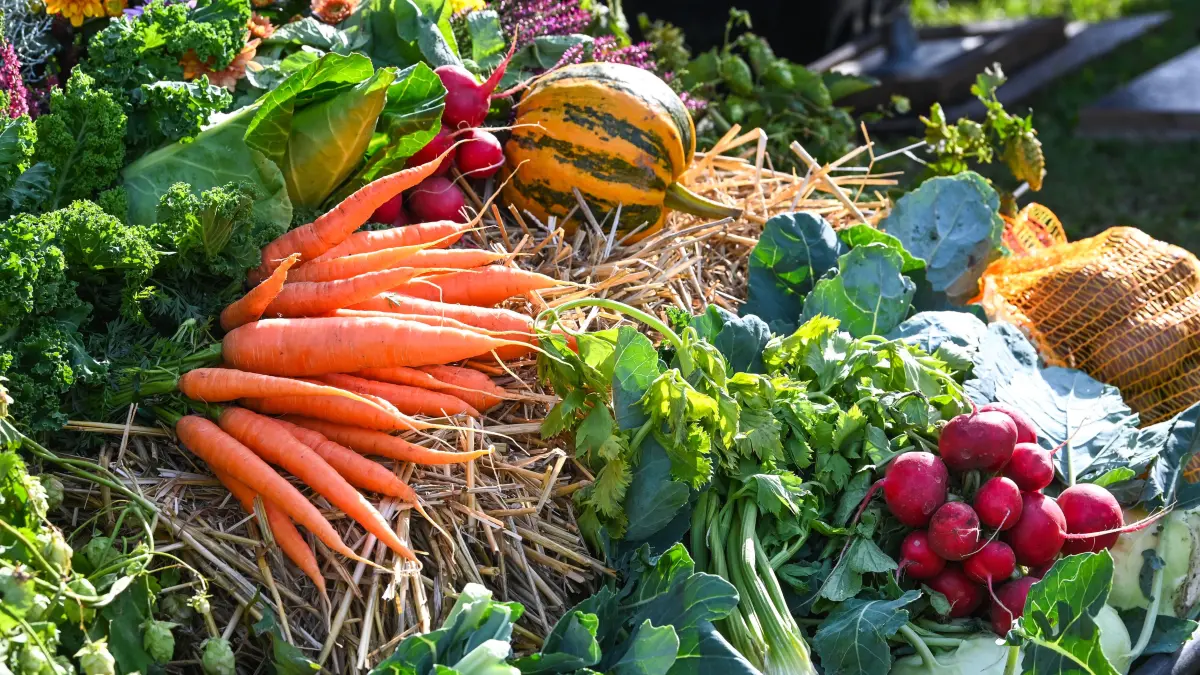 Landwirtschaft, Direktvermarkter und traditionelles Handwerk können Besucher des Regional- und Bauernmarktes am 19. September auf dem Markt- und Kirchplatz in Beeskow erleben (Symbolbild).