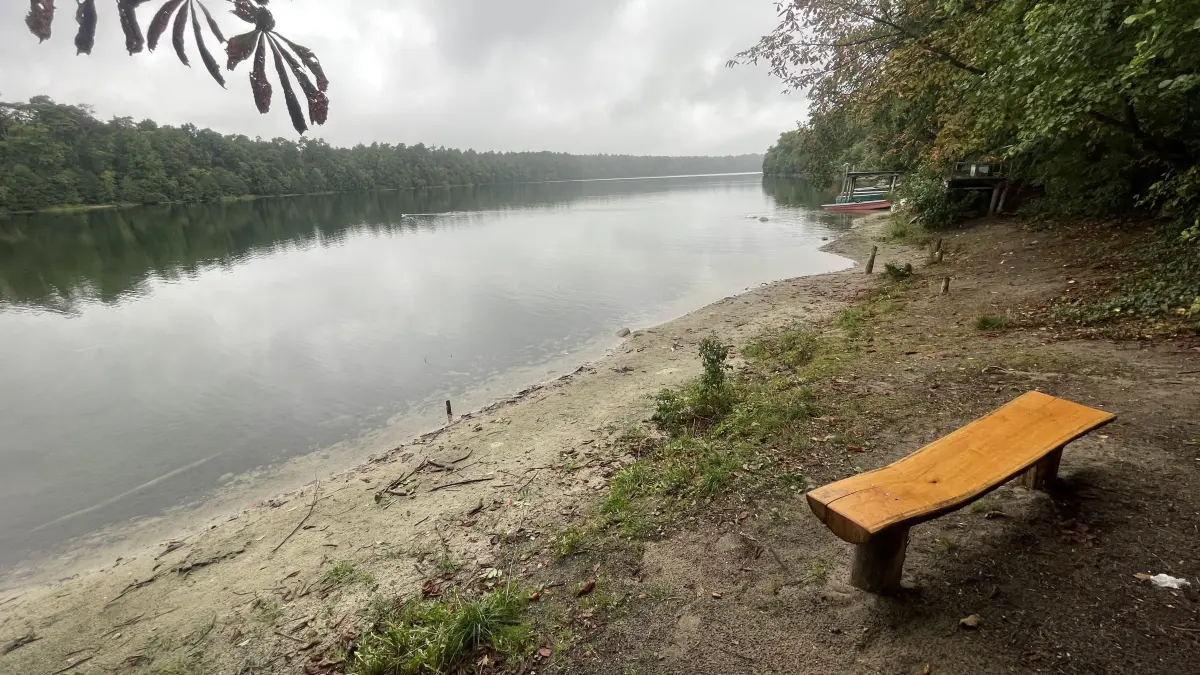 An dieser Stelle am Straussee spielte sich das Geschehen ab. Nun ist das Wasser still und nur ein Zettel am Baum unweit der Bank erinnert an die Rettungsaktion.